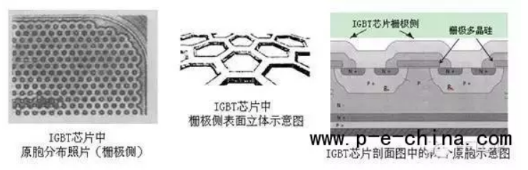 igbt